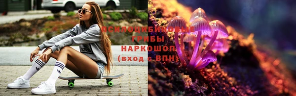 гидропоника Верея
