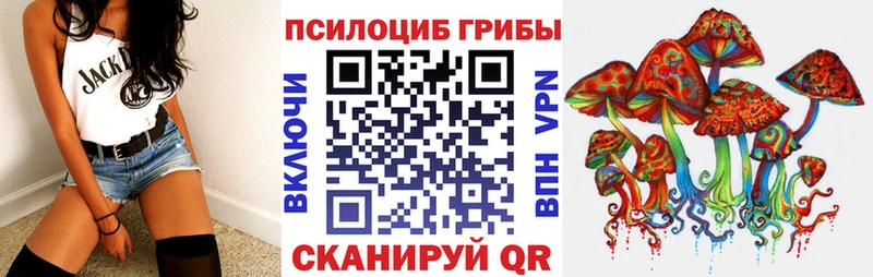 Псилоцибиновые грибы ЛСД  blacksprut ONION  Городовиковск 